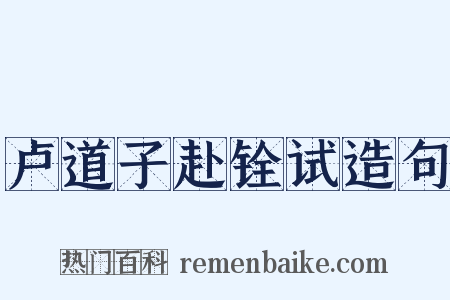 卢道子赴铨试造句是什么意思的图片
